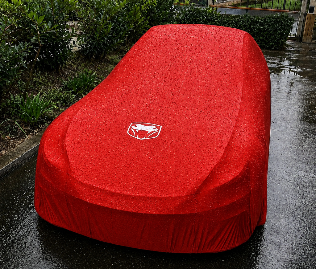 DODGE Viper car cover, DODGE Viper custom-made Outdoor car cover